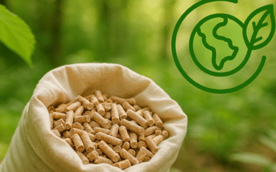 Impacto ambiental de las estufas de pellets: ¿realmente son ecológicas?
